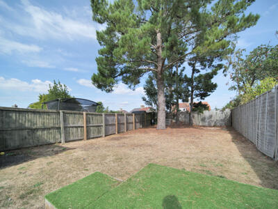Picture 12